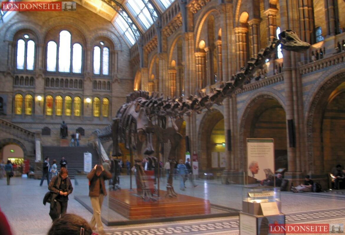 Natural History Museum