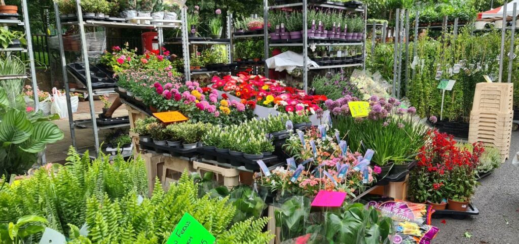 Columbia Road Flower Market